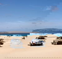 3 Day Port Lincoln and Coffin Bay Private Tour - Whitsundays Accommodation