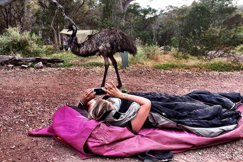 6 Day Esperance & Margaret River Adventure Tour - Whitsundays Accommodation 5