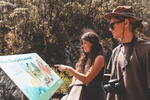 Springbrook andTamborine Rainforest Tour Incl Natural Bridge and Glow Worm Cave