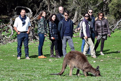 2-Day Kangaroo Island 4WD Small-Group Tour From Adelaide - Whitsundays Accommodation 1