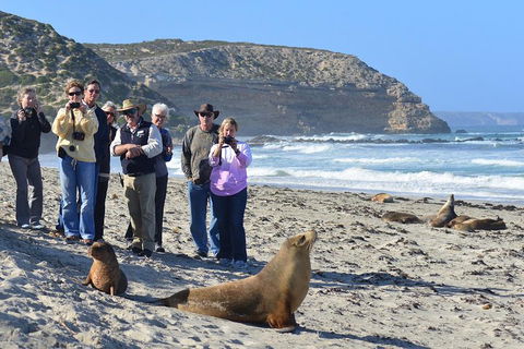 2-Day Kangaroo Island 4WD Small-Group Tour From Adelaide - Whitsundays Accommodation 3