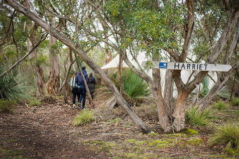2-Day Kangaroo Island 4WD Small-Group Tour From Adelaide - Whitsundays Accommodation 5