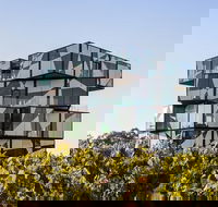 Small Group McLaren Vale and The Cube Experience - Whitsundays Accommodation