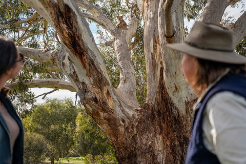 NEW TOUR - Kangaroo Island Road To Recovery Tour (1 Day/1 Night) - Whitsundays Accommodation 0