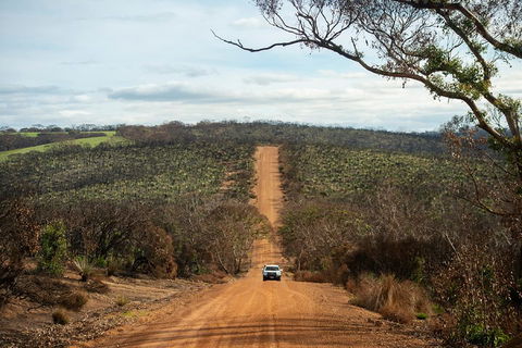 NEW TOUR - Kangaroo Island Road To Recovery Tour (1 Day/1 Night) - Whitsundays Accommodation 2