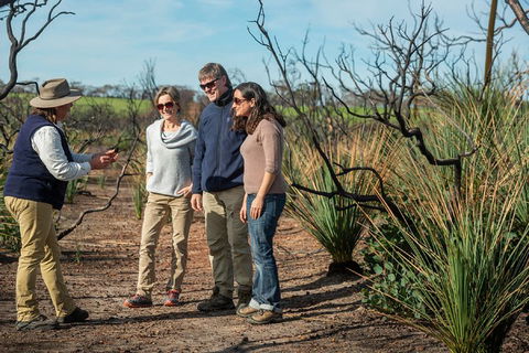 NEW TOUR - Kangaroo Island Road To Recovery Tour (1 Day/1 Night) - Whitsundays Accommodation 4