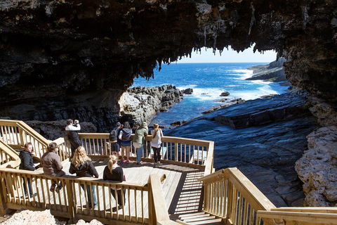 Full Day Flinders Chase Tour From Kangaroo Island - Whitsundays Accommodation 1