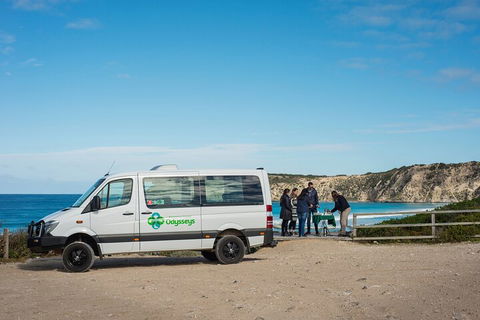 Full Day Flinders Chase Tour From Kangaroo Island - Whitsundays Accommodation 3