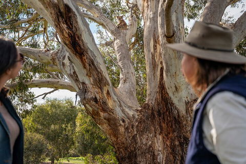 Full Day Flinders Chase Tour From Kangaroo Island - Whitsundays Accommodation 5