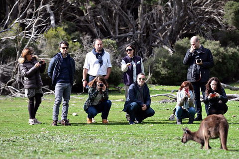 Small-Group Kangaroo Island 4WD Tour From Adelaide - Whitsundays Accommodation 2