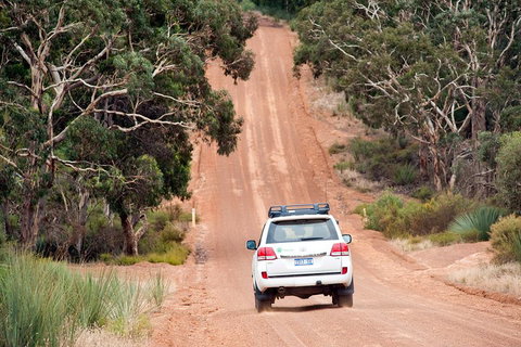 Small-Group Kangaroo Island 4WD Tour From Adelaide - Whitsundays Accommodation 3