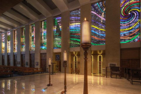 Cairns Aquarium And Small Group City Sightseeing Tour - Whitsundays Accommodation 3