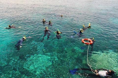 Seastar Luxury Outer Great Barrier Reef Island And Reef Tour From Cairns - Whitsundays Accommodation 2