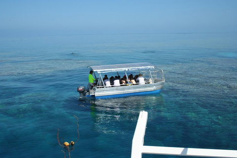 Seastar Luxury Outer Great Barrier Reef Island And Reef Tour From Cairns - Whitsundays Accommodation 5