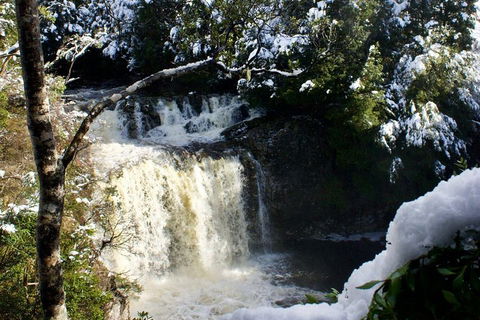 Cradle Mountain Day Tour From Launceston Including Lunch - Whitsundays Accommodation 0