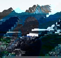 Cradle Mountain Park Explorer Guided Tour - Whitsundays Accommodation