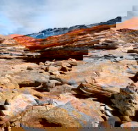 Broome City Sightseeing Tour with Optional Camel Ride - Whitsundays Accommodation