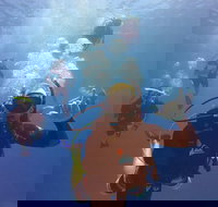 12-Day Great Barrier Reef Marine Conservation Program from Cairns - Whitsundays Accommodation