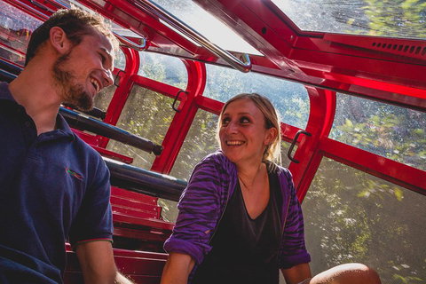 Blue Mountains Hop-on Hop-off Tour With Optional Scenic World Rides - Whitsundays Accommodation 5