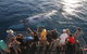 Hervey Bay Whale Watching Cruise - thumb 4
