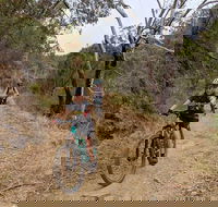 Mount Lofty Descent Bike Tour from Adelaide - Whitsundays Accommodation