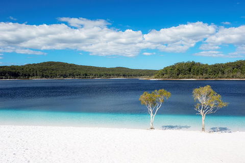 All-Inclusive Fraser Island Day Tour - Whitsundays Accommodation 3