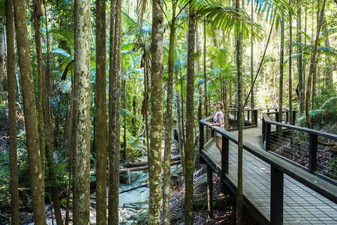 All-Inclusive Fraser Island Day Tour - Whitsundays Accommodation 5