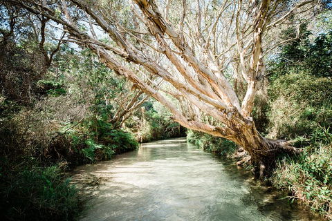 3-Day Fraser Island Resort Package - Whitsundays Accommodation 5