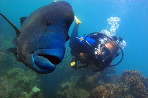 2 Night Whitsunday Islands Cruise On New Horizon From Airlie Beach - Whitsundays Accommodation 4