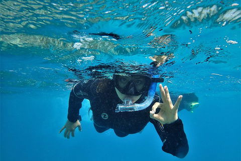 3 Day Whitsundays Sailing And Diving Adventure: Kiana - Whitsundays Accommodation 0