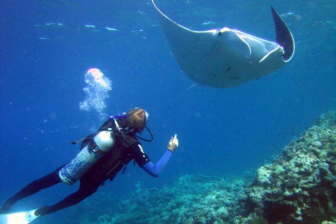 3 Day Whitsundays Sailing And Diving Adventure: Kiana - Whitsundays Accommodation 3