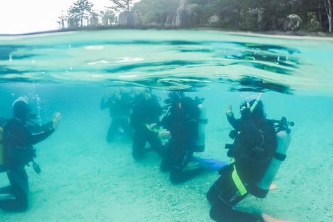 3 Day Whitsundays Sailing And Diving Adventure: Kiana - Whitsundays Accommodation 4