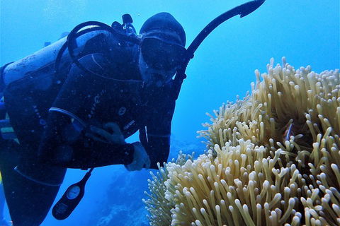 3 Day Whitsundays Sailing And Diving Adventure: Kiana - Whitsundays Accommodation 5