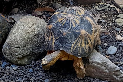 Hartley's Crocodile Adventures General Entry Ticket - Whitsundays Accommodation 2