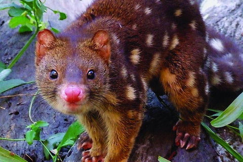 Hartley's Crocodile Adventures General Entry Ticket - Whitsundays Accommodation 4