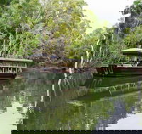 Hartley's Crocodile Adventures Breakfast with the Koalas