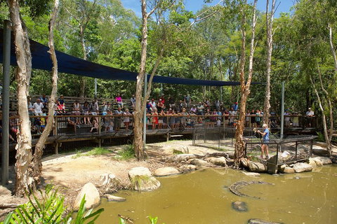 Hartley's Crocodile Adventures Breakfast With The Koalas - Whitsundays Accommodation 1