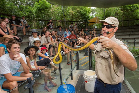 Hartley's Crocodile Adventures Breakfast With The Koalas - Whitsundays Accommodation 3
