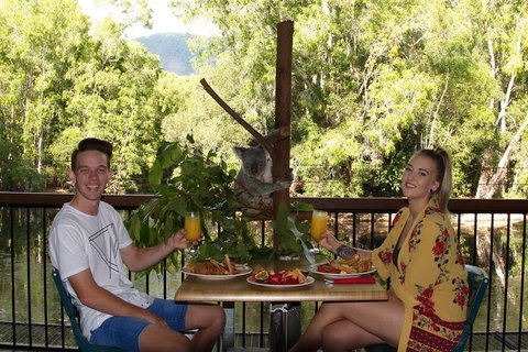 Hartley's Crocodile Adventures Breakfast With The Koalas - Whitsundays Accommodation 5