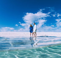 4-Day Coastal Loop via Monkey Mia Wild Dolphins Kalbarri Pinnacles Perth Return - Whitsundays Accommodation