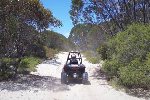 Kangaroo Island Quad Bike (ATV) Tours - Whitsundays Accommodation 4