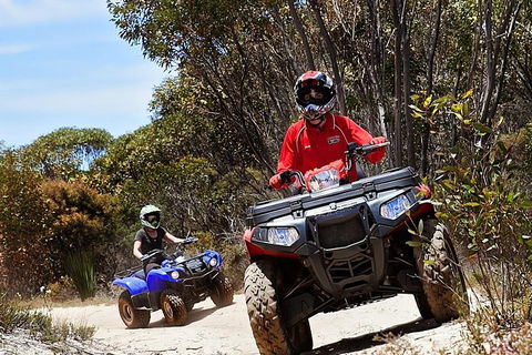 Kangaroo Island Quad Bike (ATV) Tours - Whitsundays Accommodation 5