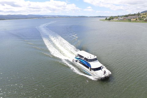2.5 Hour Morning Discovery Cruise Including Sailing Into The Cataract Gorge - Whitsundays Accommodation 2