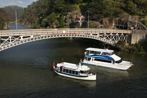2.5 Hour Morning Discovery Cruise Including Sailing Into The Cataract Gorge - Whitsundays Accommodation 5