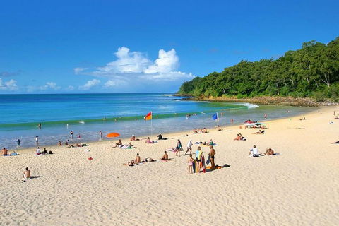 Noosa Everglades Serenity Cruise & Highlights Tour Inc. Lunch & Cruise - Whitsundays Accommodation 4