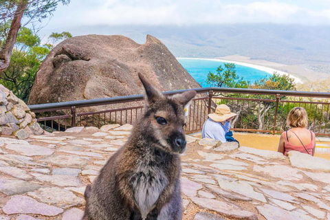 Wineglass Bay & Freycinet NP Full Day Tour From Hobart Via Richmond Village - Whitsundays Accommodation 0