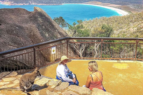Wineglass Bay & Freycinet NP Full Day Tour From Hobart Via Richmond Village - Whitsundays Accommodation 1