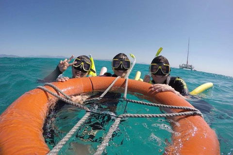 Full-Day Great Barrier Reef Sailing Trip - Whitsundays Accommodation 0