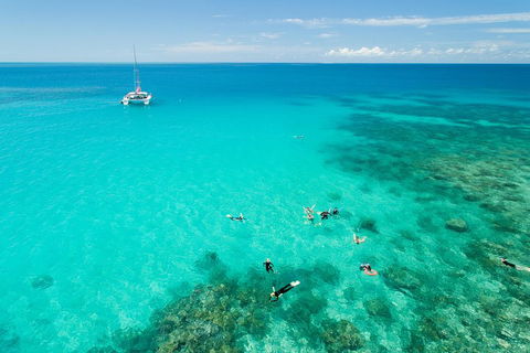 Full-Day Great Barrier Reef Sailing Trip - Whitsundays Accommodation 2