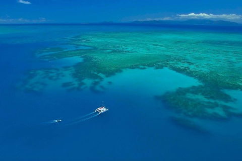Full-Day Great Barrier Reef Sailing Trip - Whitsundays Accommodation 3